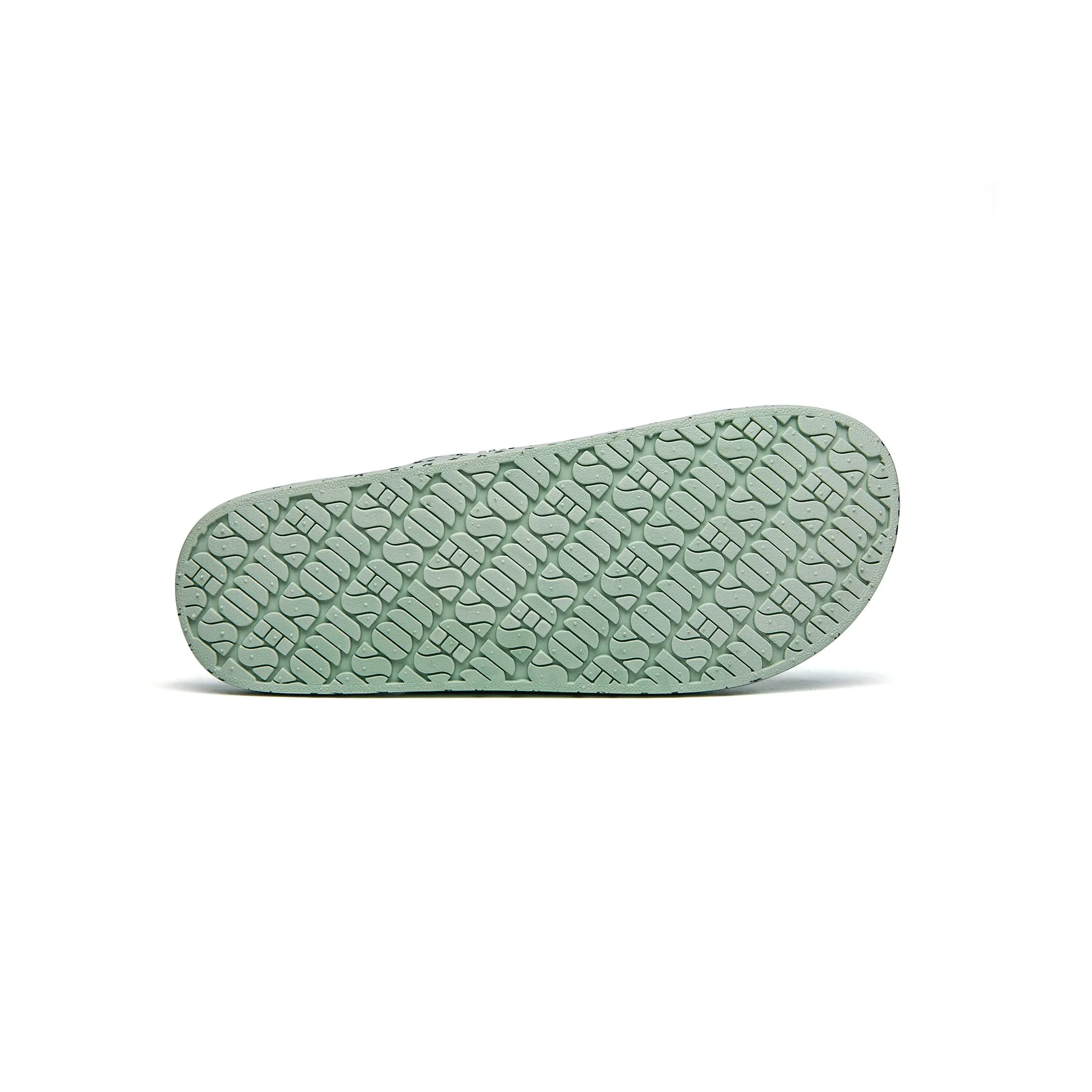 STELLAR SAGE slides