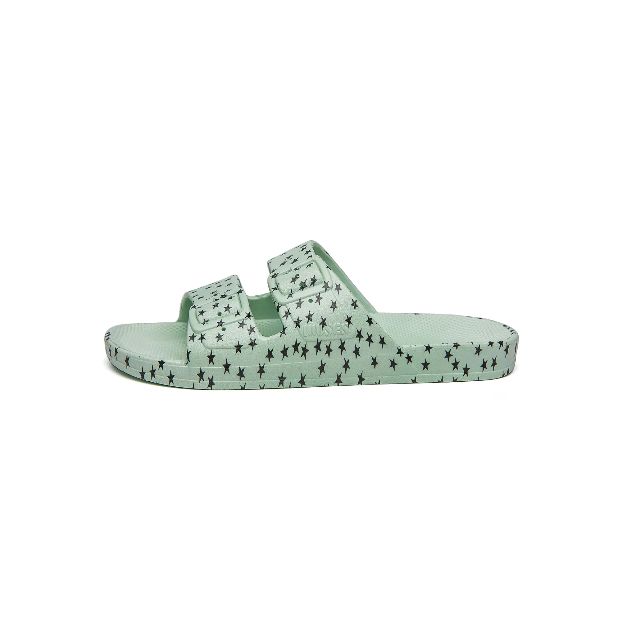 STELLAR SAGE slides